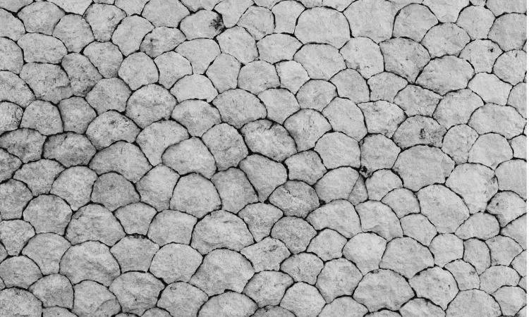 paving solution san diego properties